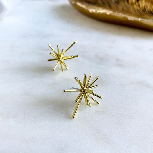 Brass Sea Urchin