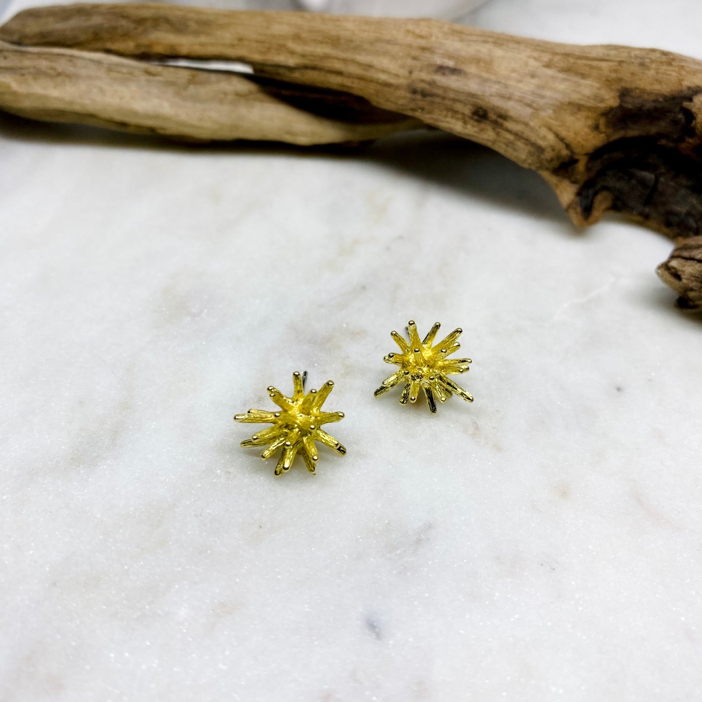 Brass Sea Urchin